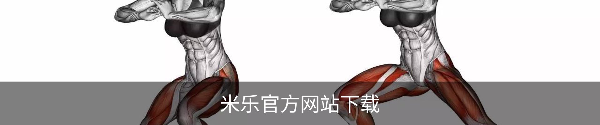 米乐官方网站下载